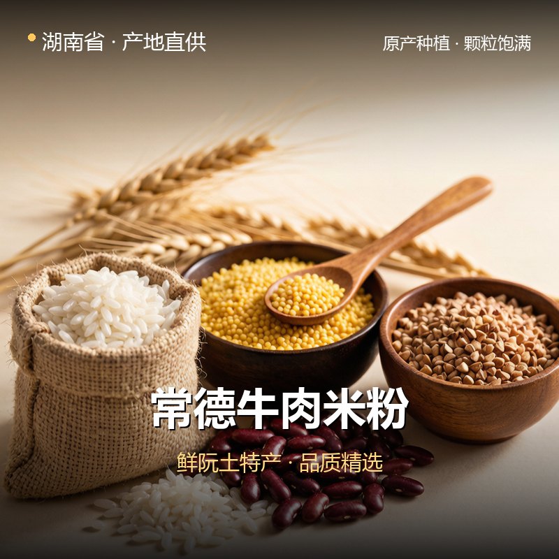 湖南省常德牛肉米粉 实拍图