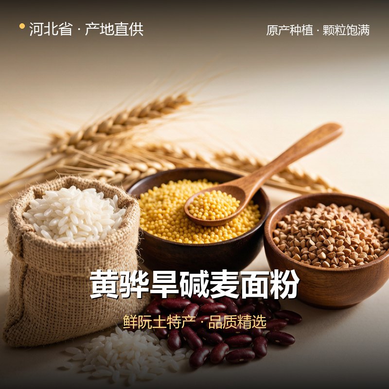 河北省黄骅旱碱麦面粉 实拍图