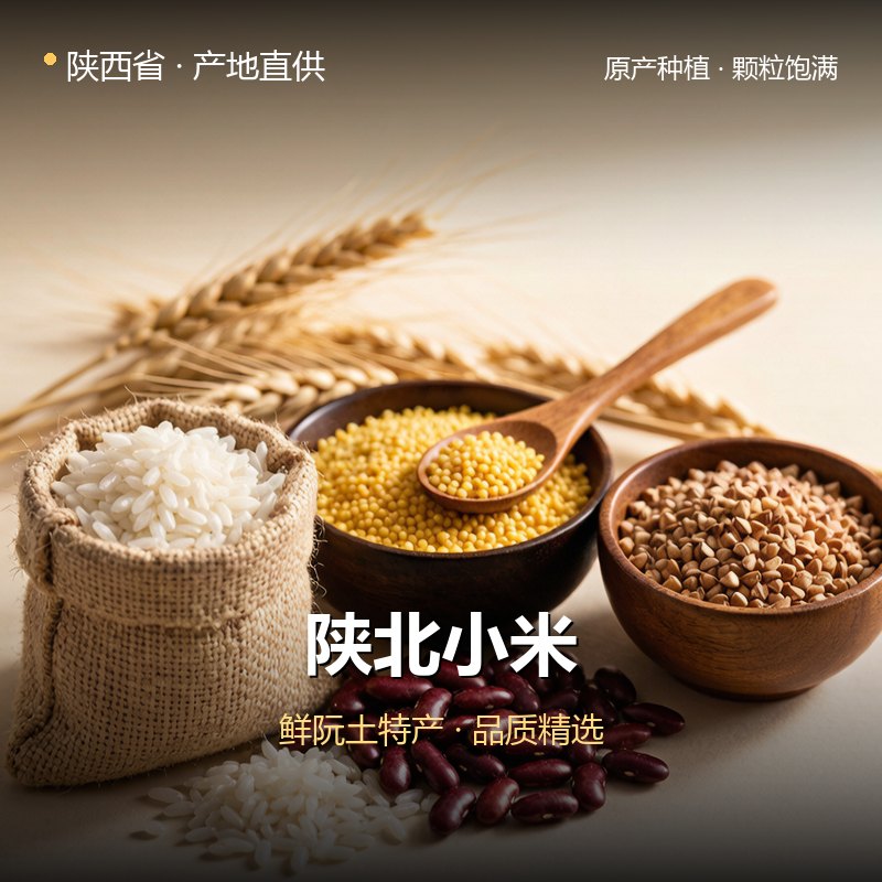陕西省陕北小米 实拍图