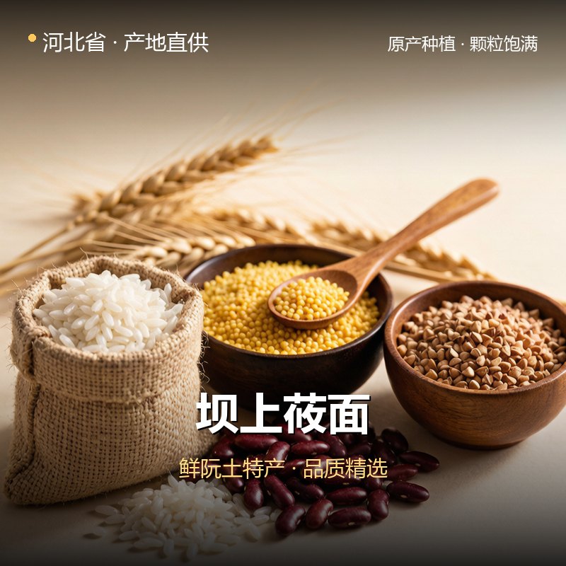 河北省坝上莜面 实拍图