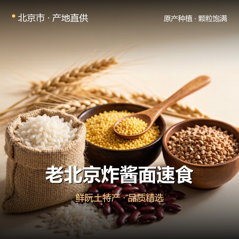 北京市老北京炸酱面速食 实拍图