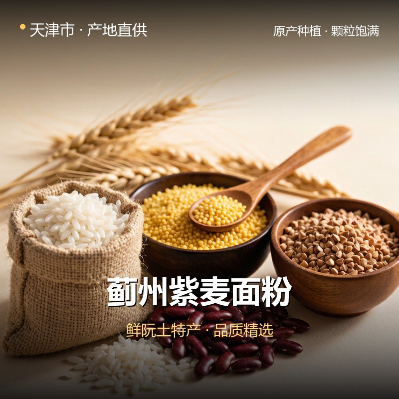 天津市蓟州紫麦面粉 实拍图