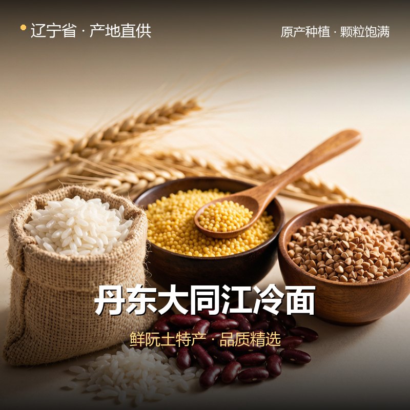 辽宁省丹东大同江冷面 实拍图