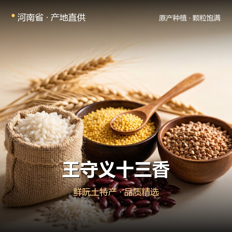 河南省王守义十三香 实拍图