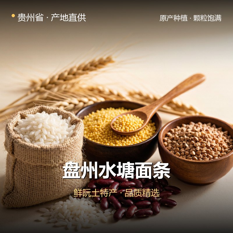 贵州省盘州水塘面条 实拍图