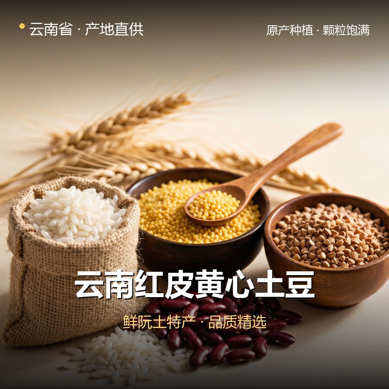 云南红皮黄心土豆 实拍图