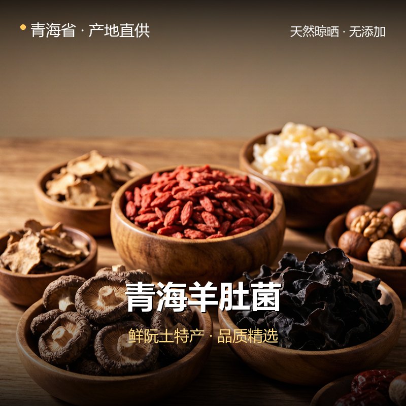 青海羊肚菌 实拍图