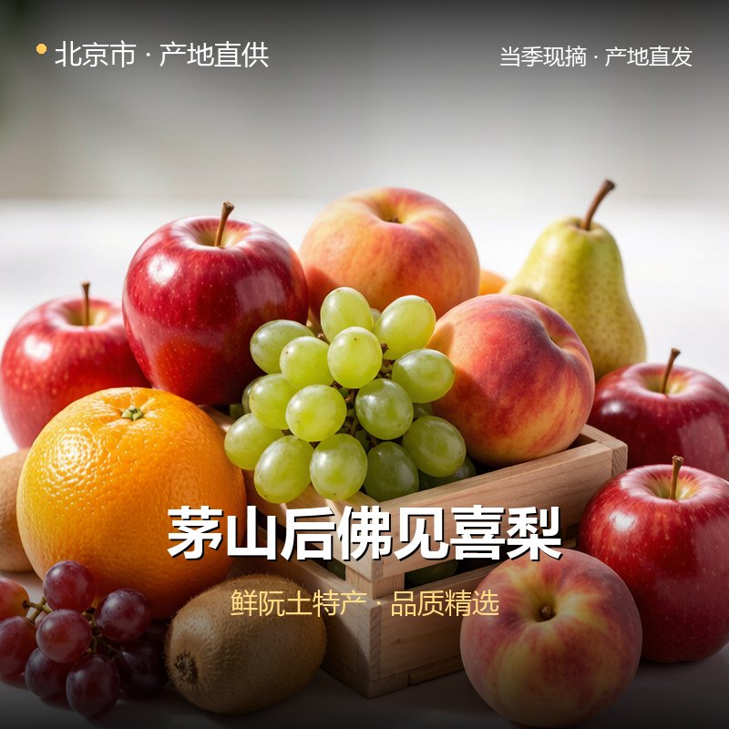 北京市茅山后佛见喜梨 实拍图
